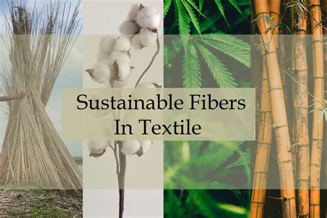 ¡Hemp: La fibra del futuro para textiles sostenibles y duraderos!