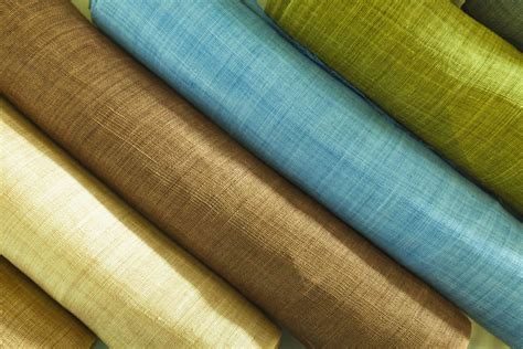  Ramie: El dorado textil para productos de alto rendimiento!